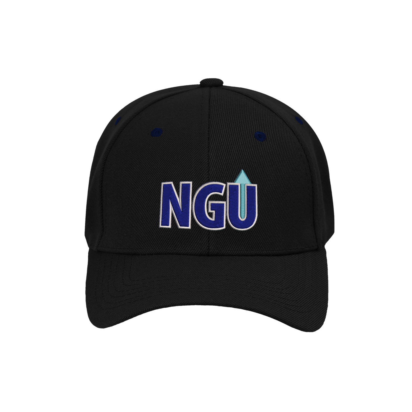 Next Gen Up youth/adult Dad Hat