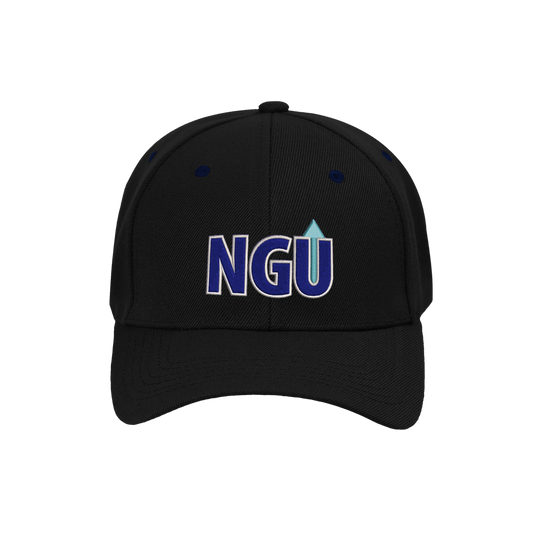 Next Gen Up youth/adult Dad Hat